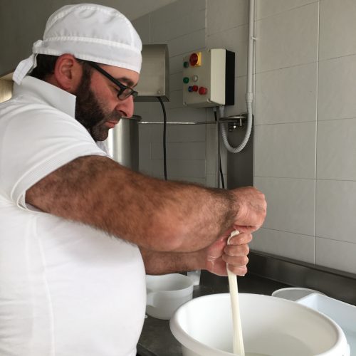 Giorgio making mozzarella from cows milked on his farm and fed with hay he grows...0 km from farm to table